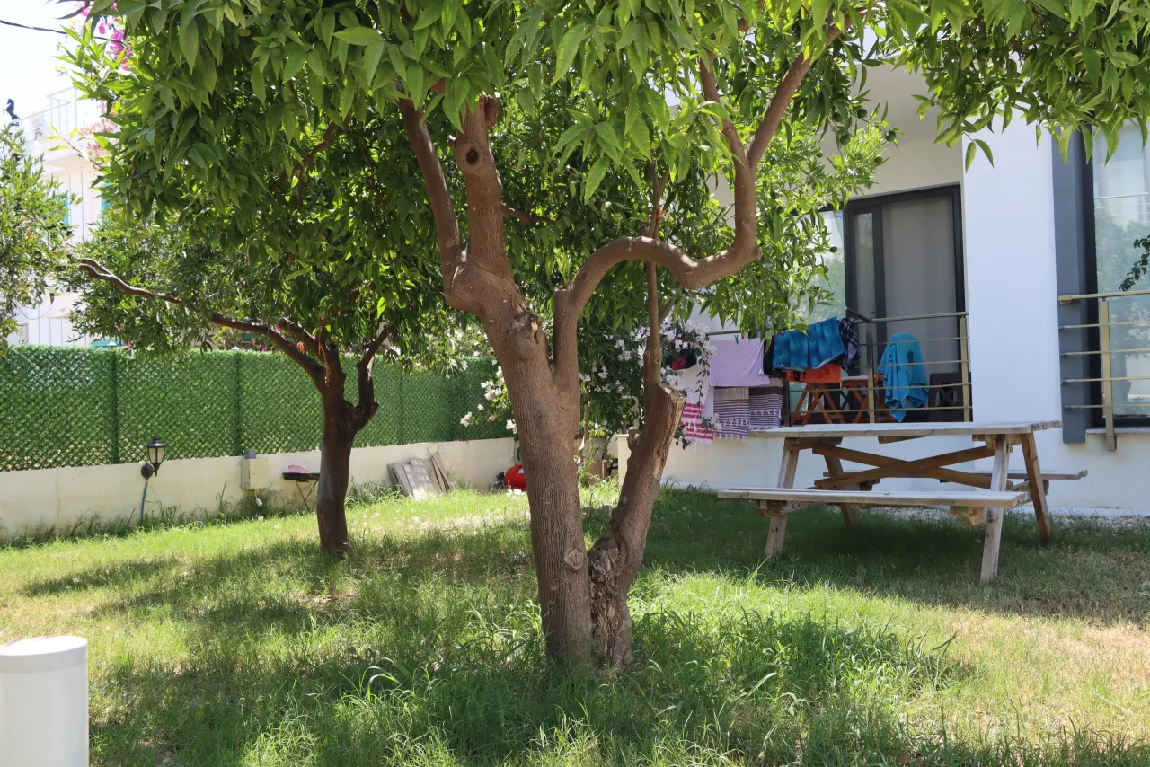 1+1 Plus Daire — 8. fotoğraf