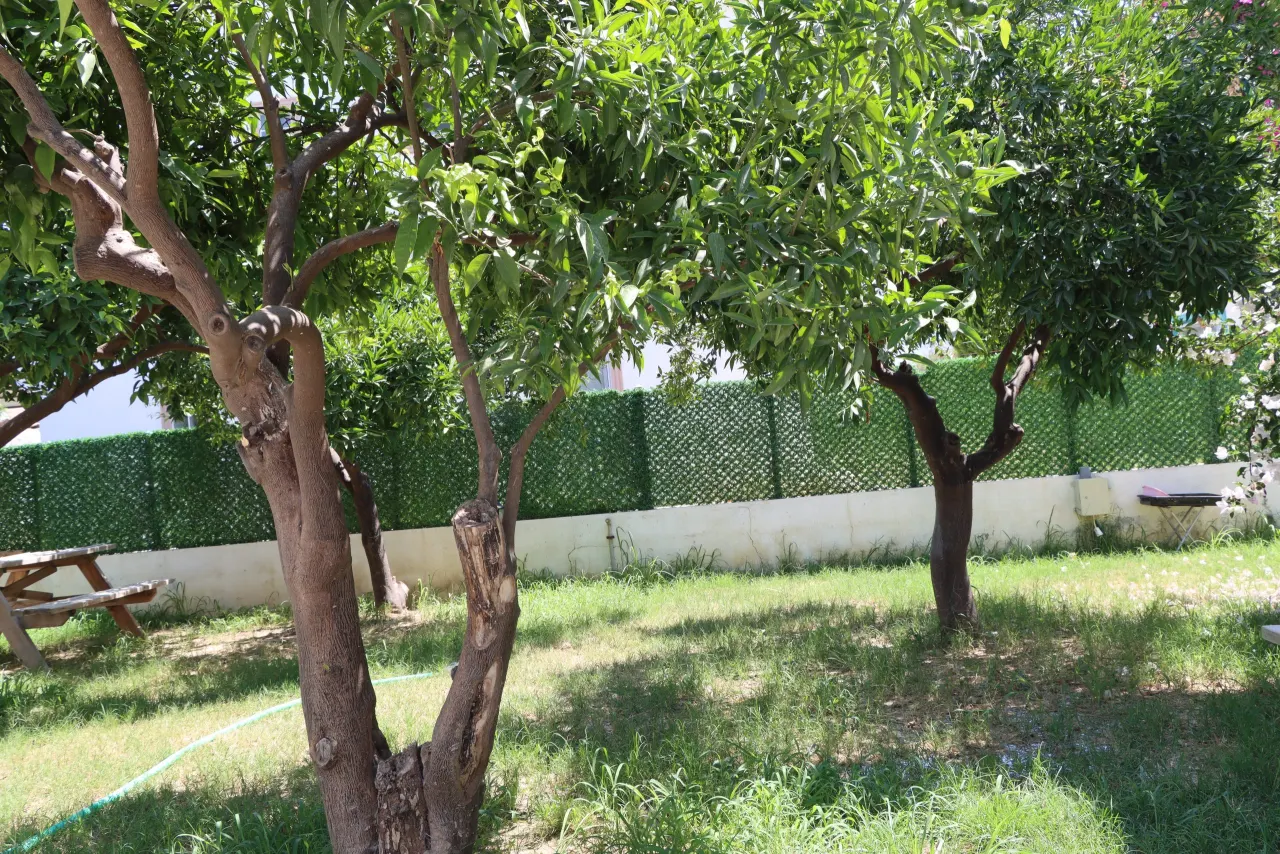 2+1 Plus — 2. fotoğraf